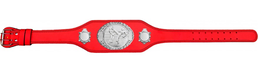 KICKBOXING CHAMPIONSHIP TITLE BELT -BUD295/S/KBOS - 4 COLOURS